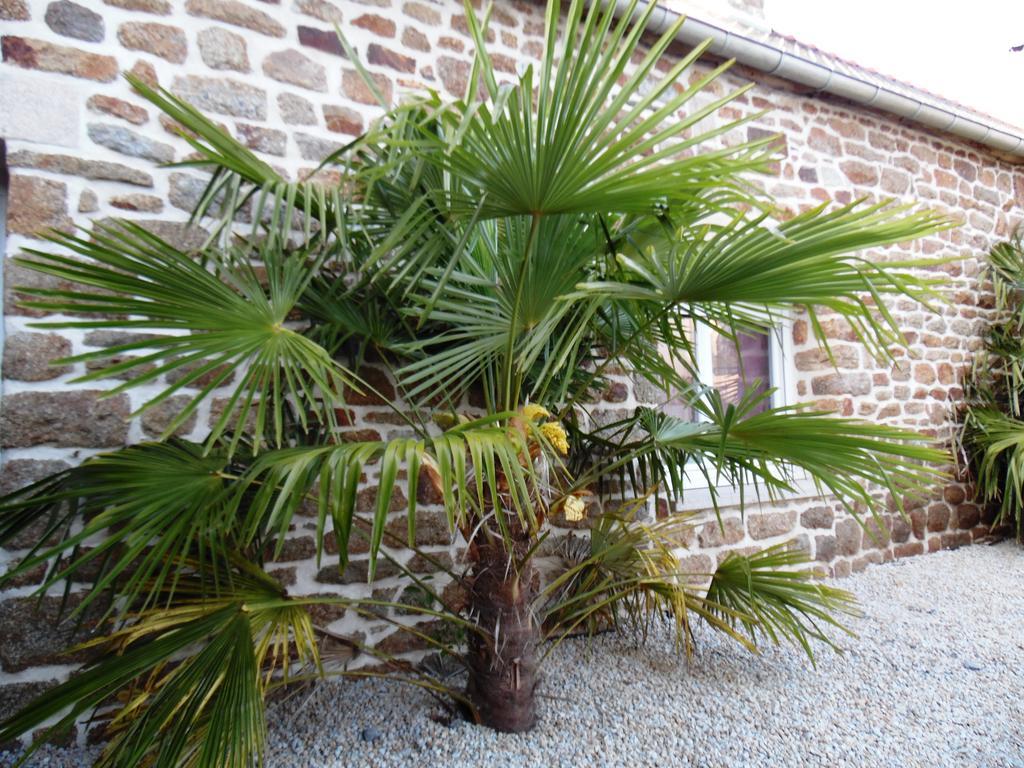 Gites Mont Saint Michel "Aucoeurdelabaie" Sains المظهر الخارجي الصورة