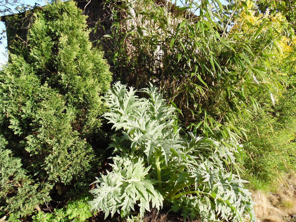 Gites Mont Saint Michel "Aucoeurdelabaie" Sains المظهر الخارجي الصورة